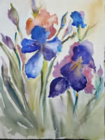 Iris Signify Faith and Hope by J.M. Lincoln